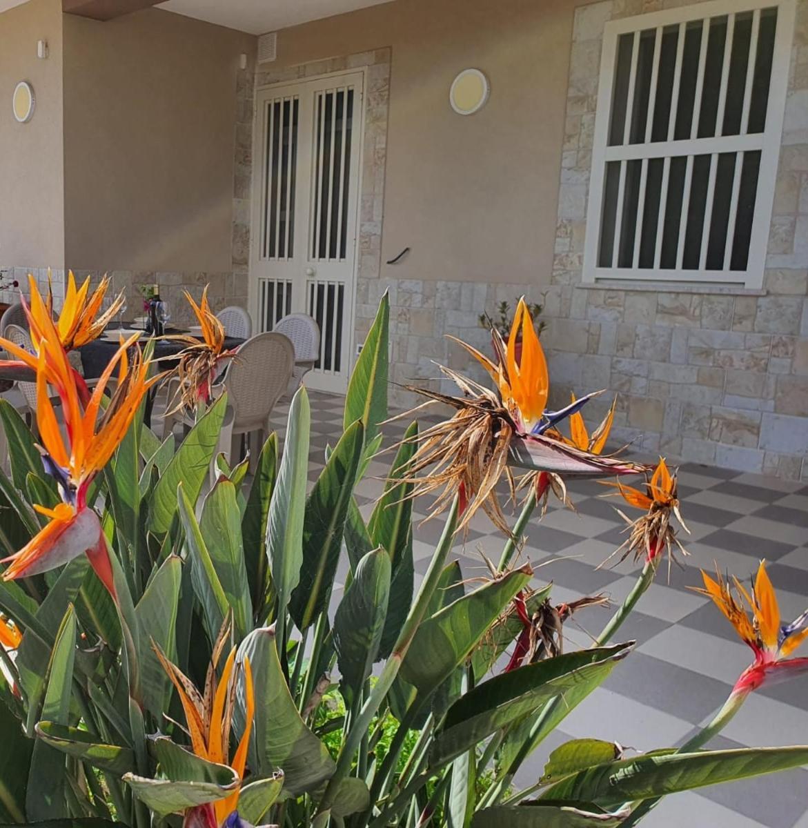 Villa Tellina Mare Luna Granelli Εξωτερικό φωτογραφία